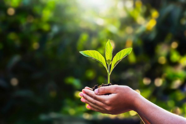 Umweltschutz Umweltschutz